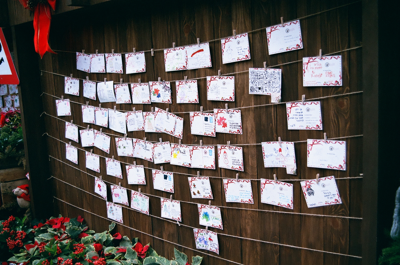 Photo of a Christmas display, with handwritten postcards from children clipped onto strings and poinsettias? for decoration