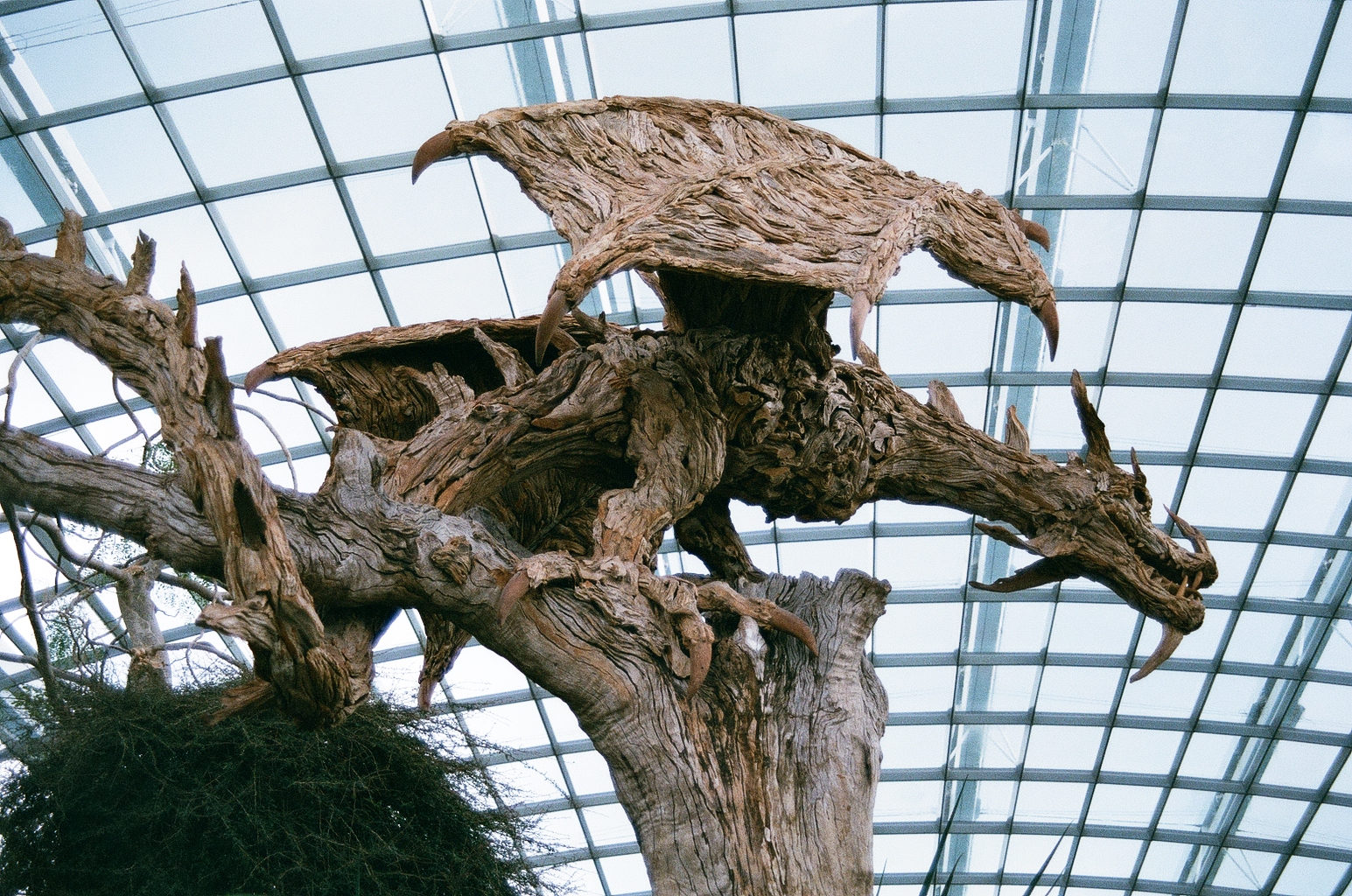 Photo of a giant wyvern sculpture perched on a dead tree trunk. The dragon is made of wood, looking much like a tree itself