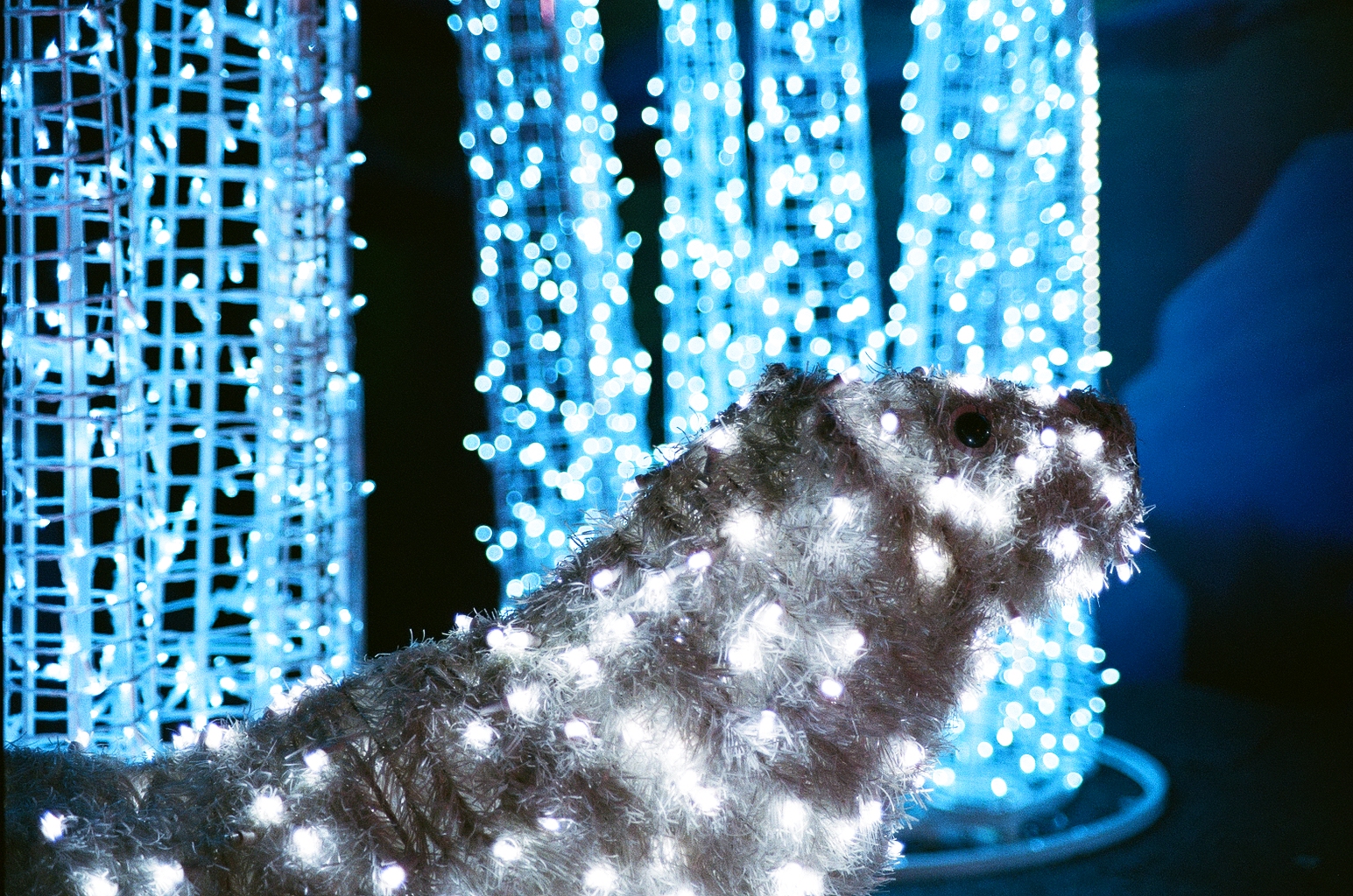 Closeup photo of some light sculptures, including a polar bear wrapped with tinsel and white lights and icicles made of some frames wrapped with blue lights in the background