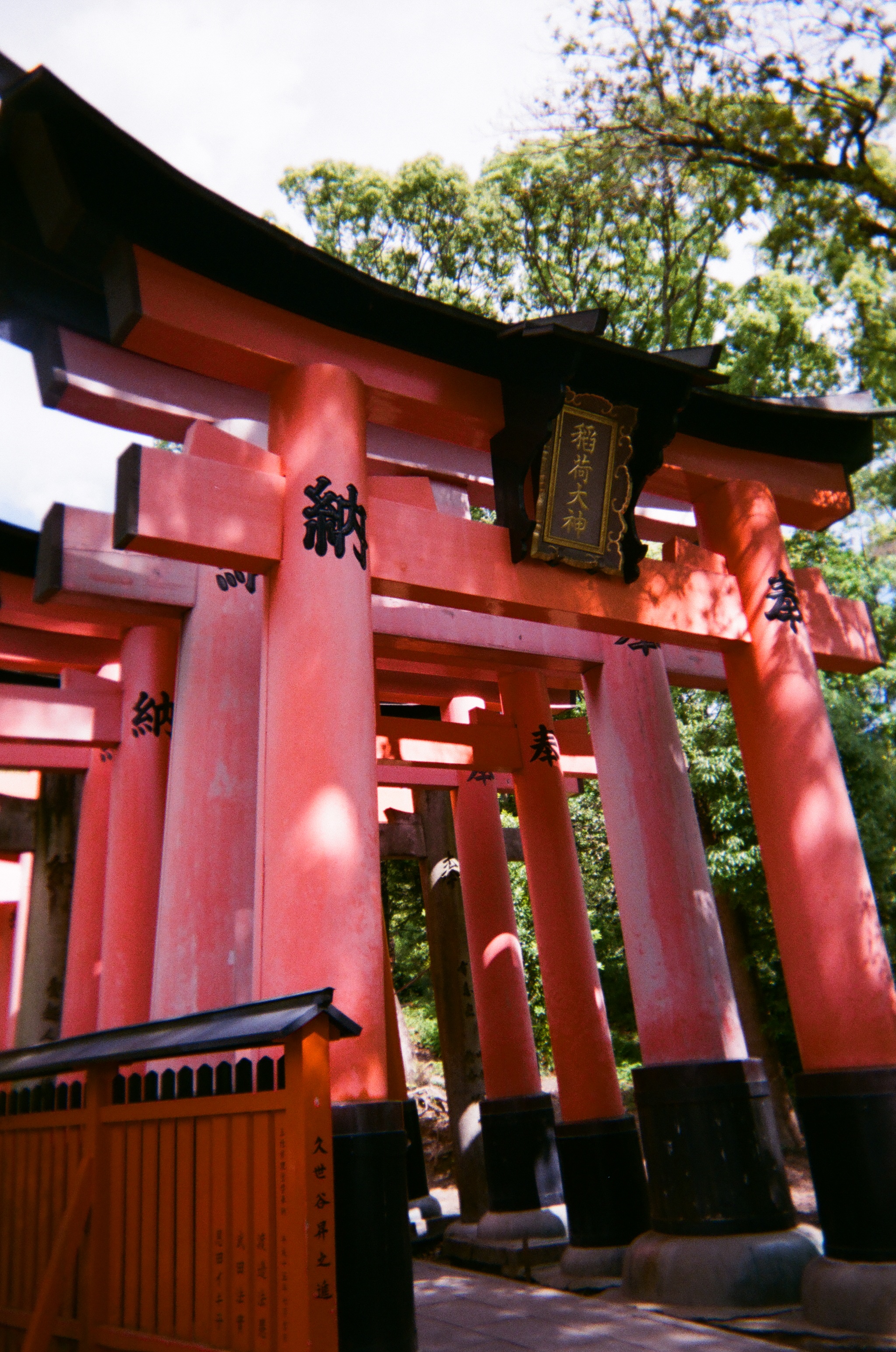 Photo of a sequence of torii at Fushimi Inari Taisha