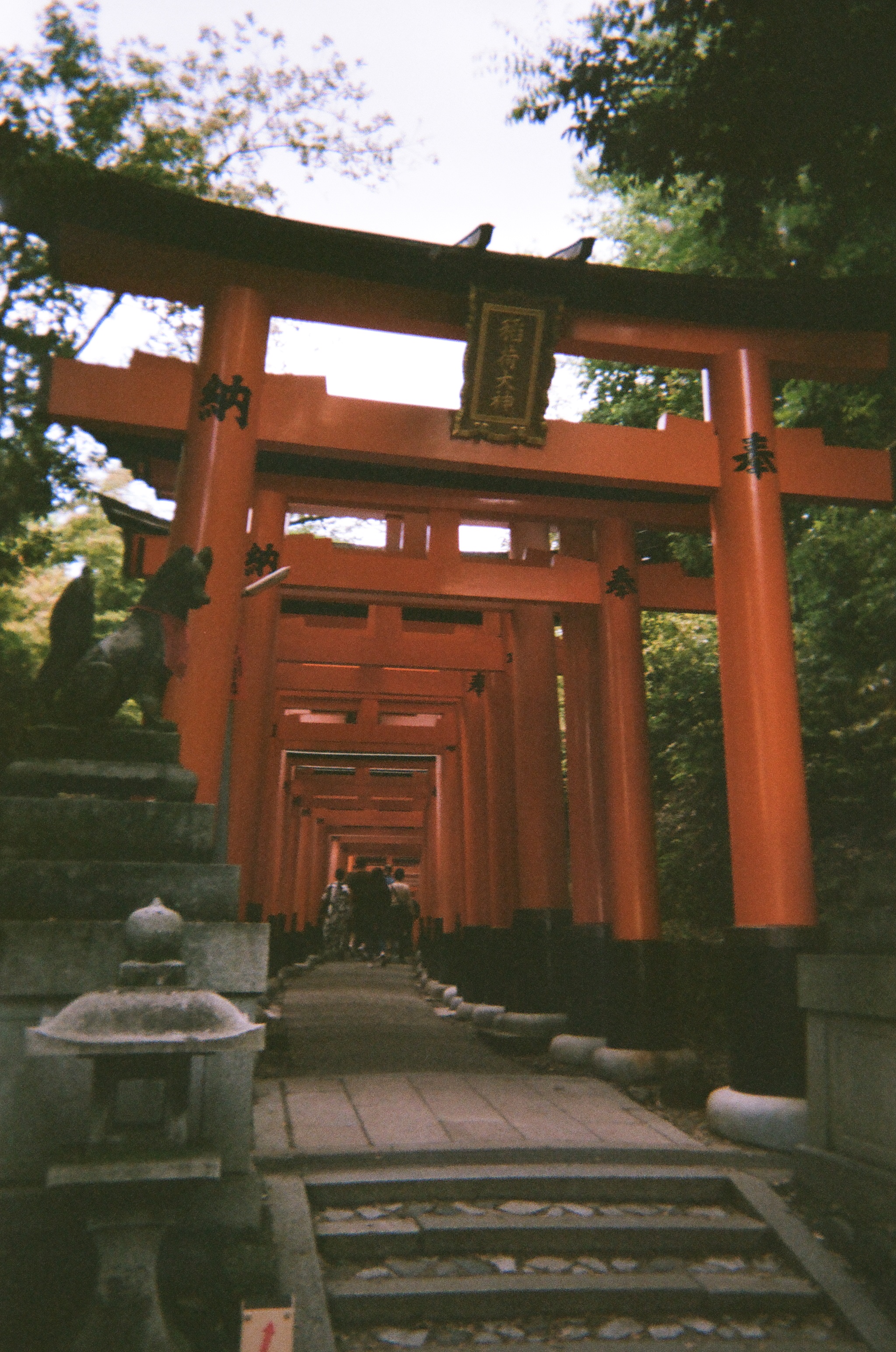 Photo of a sequence of torii flanked by a fox statue