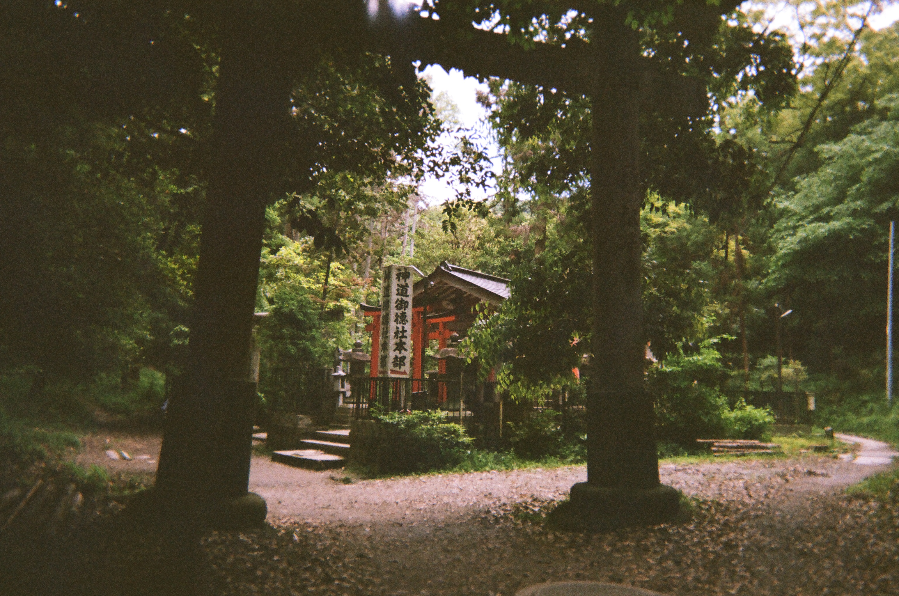 Photo of a smaller shrine nestled among trees