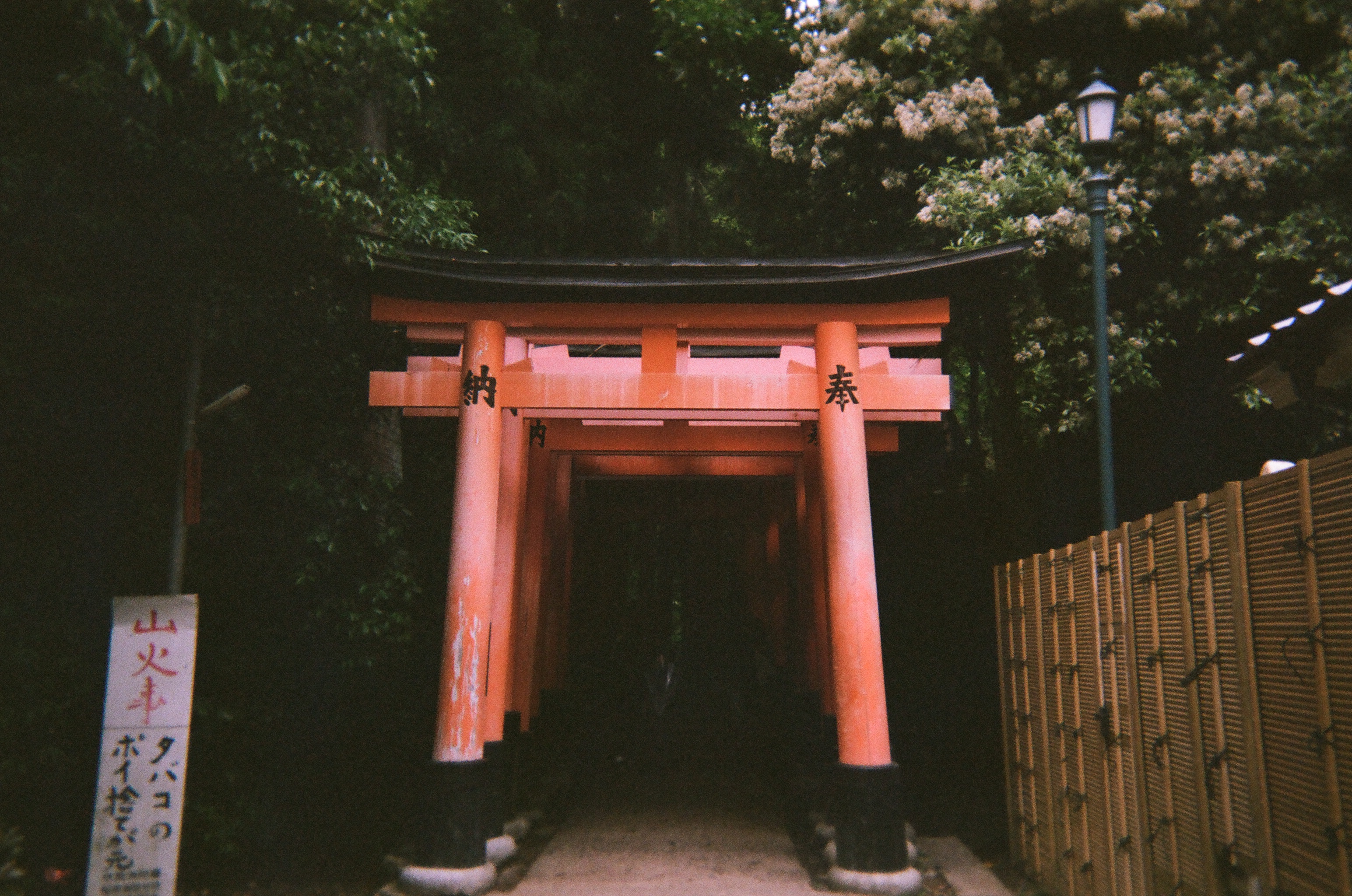 Photo of a sequence of torii marking the entrance to the ascent to the peak. A signboard nearby warns of littered cigarette butts being the cause of mountain fires