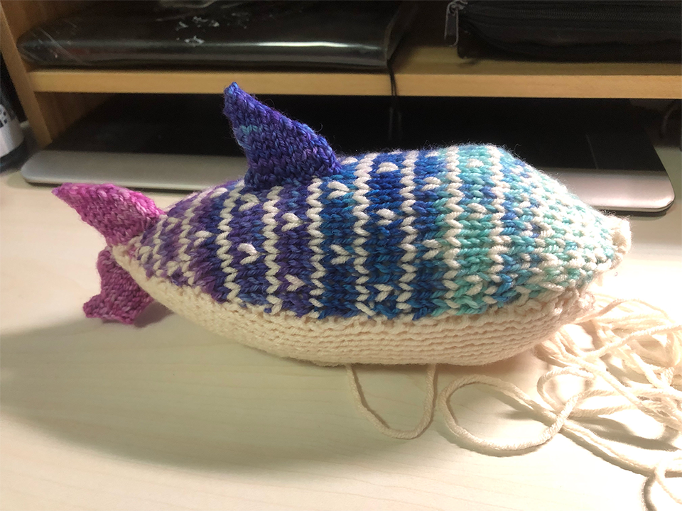 Photo of an incomplete knitted whale shark plush on a desk facing the right. It is light cyan to blue to purple to pink starting from the head to the tail, with a creamy white underside and stripes and spots. It has a dorsal fin and the tail fins, is stuffed, but doesn't have the front fins and eyes, and the front of the face is still open, with a long thread of creamy white yarn attached.