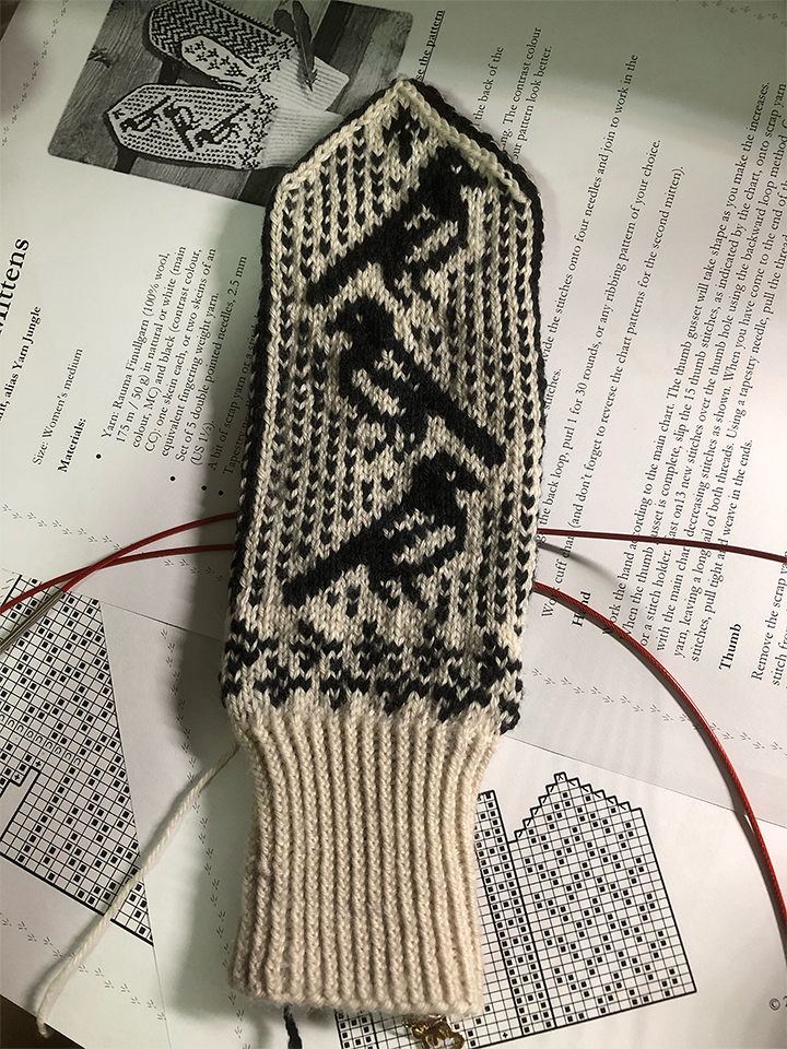 Photo of a knitting project on the needles on a desk. The knitted portion shows the back of a mitten with a ribbed cuff in neat vertical rows, with two rows of bird footprints above the cuff and pattern featuring 3 magpies in black and white. Underneath the project is multiple sheets of paper with the mitten knitting instructions printed on them.
