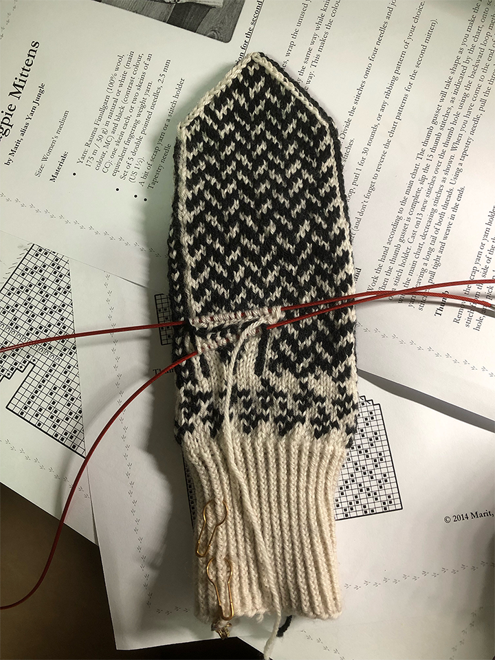 Photo of a knitting project on the needles on a desk. The knitted portion shows the front of a mitten with a ribbed cuff in neat vertical rows, with two rows of bird footprints above the cuff and zigzag pattern in black and white. The thumb is still missing, with the beginning stitches on the circular needle cables. Underneath the project is multiple sheets of paper with the mitten knitting instructions printed on them.